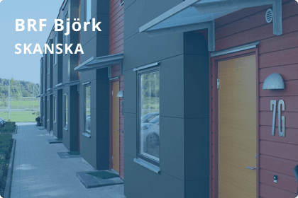 Björk - Skanska