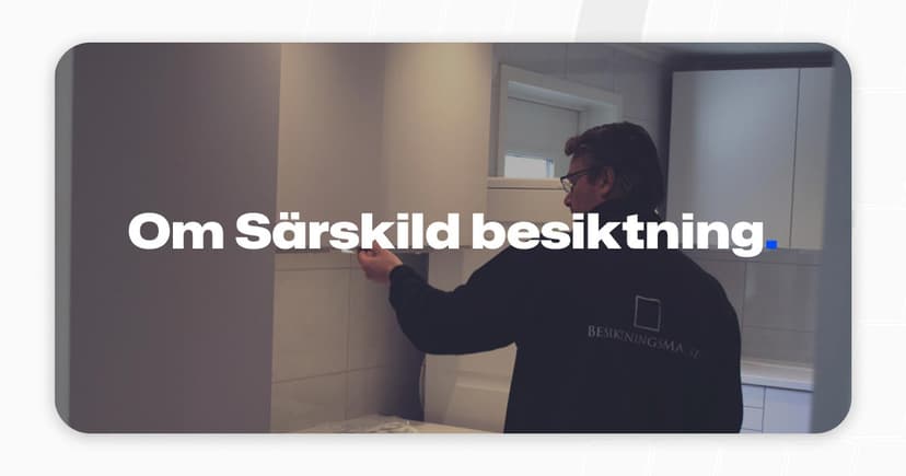 Hur går särskild besiktning till?